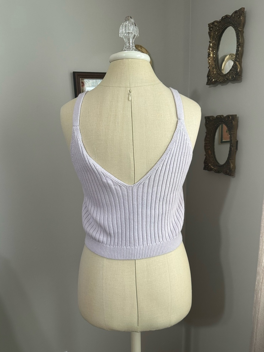 aerie Lilac Ribbed V-Neck Knit Crop Tank - Picture 5 of 6